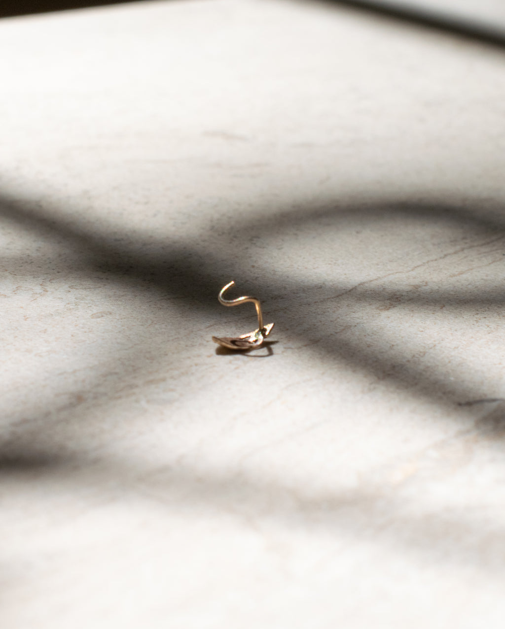 The gold nose ring
