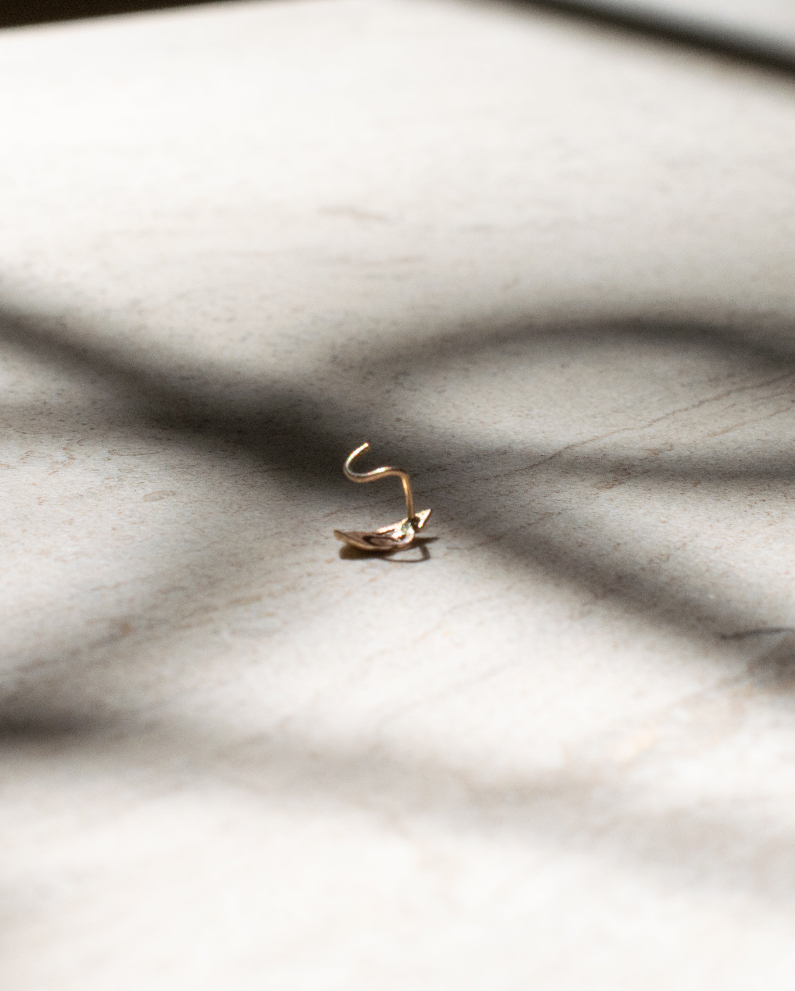The gold nose ring