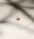 a gold nose ring portrait