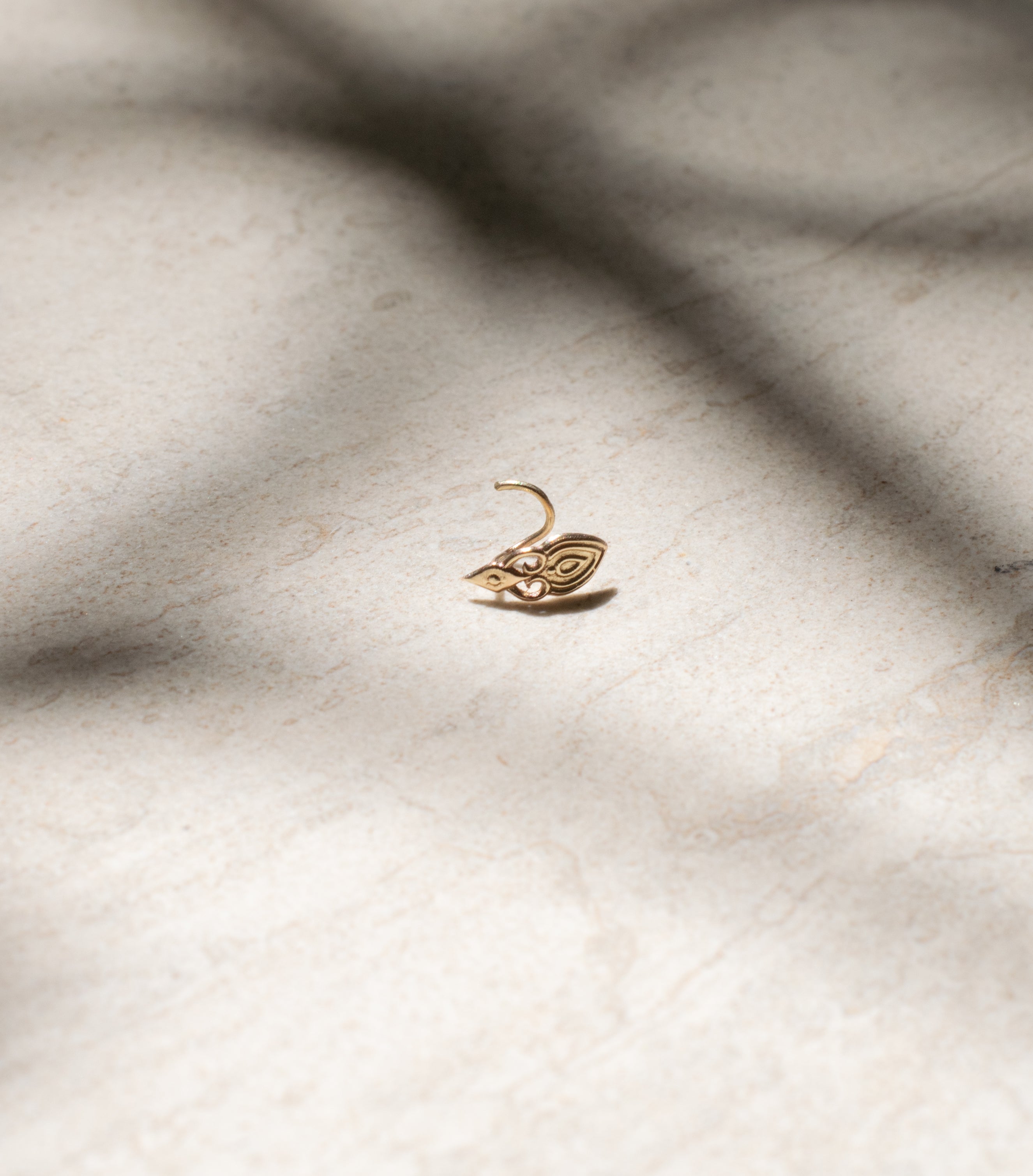a gold nose ring portrait